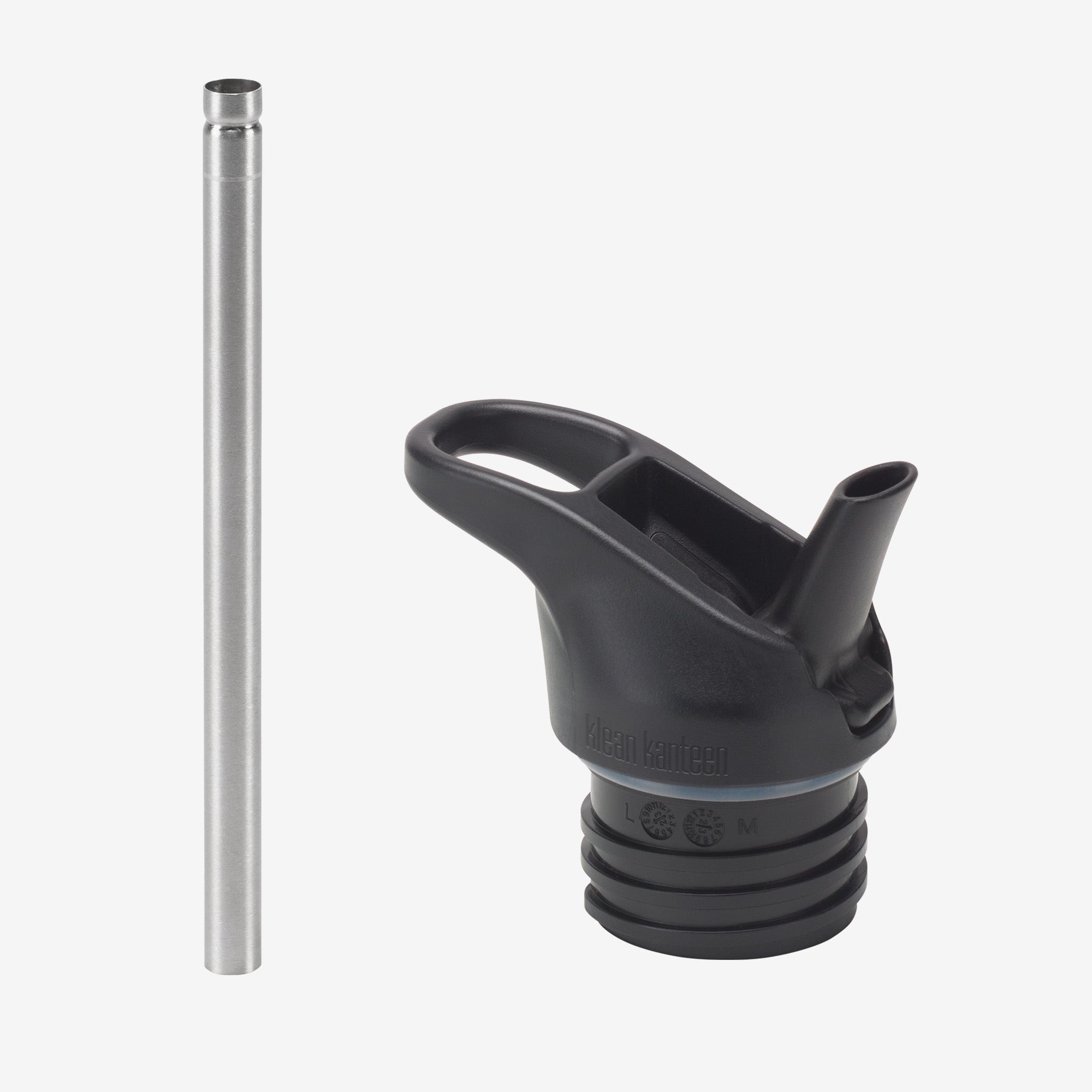 18oz with Flip Seal Sport Cap - Sant Cruz - Screaming Grizzly